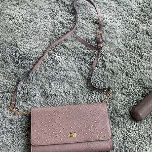 Target purse/clutch